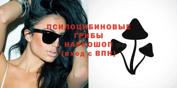 Альфа ПВП Няндома
