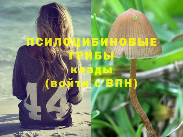 spice Нягань