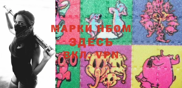 Альфа ПВП Няндома