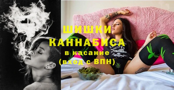Альфа ПВП Няндома