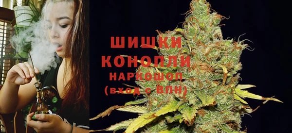 Альфа ПВП Няндома