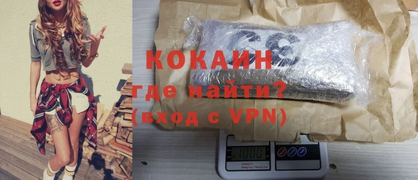 Альфа ПВП Няндома